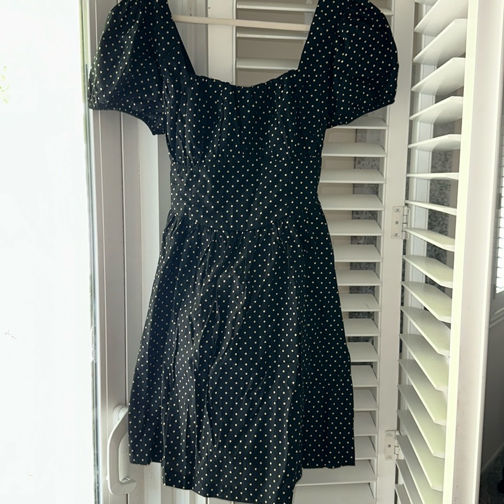 Baby doll polkadot, black, and tan Vici dress